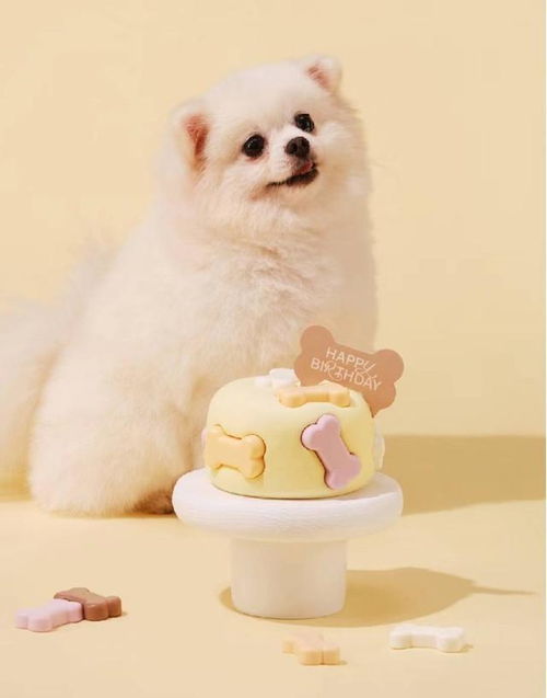 小萌宠推动大市场 宠物食品行业迎来黄金发展风口